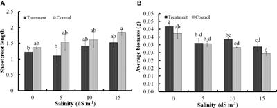 Stress-responsive gene regulation conferring salinity tolerance in wheat inoculated with ACC deaminase producing facultative methylotrophic actinobacterium